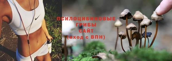 прущие крисы Гусь-Хрустальный