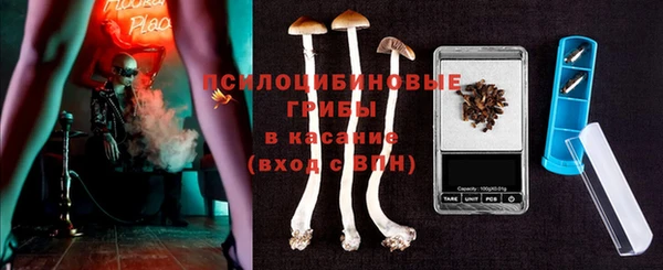 бошки Дмитриев
