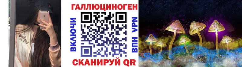 Галлюциногенные грибы Psilocybe  Купить закладки  Мещовск 